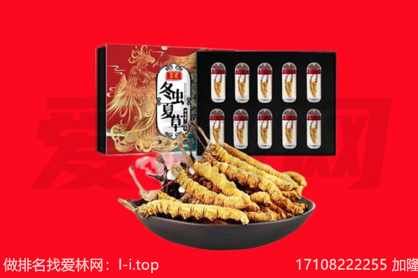 河源和平县回收虫草.jpg